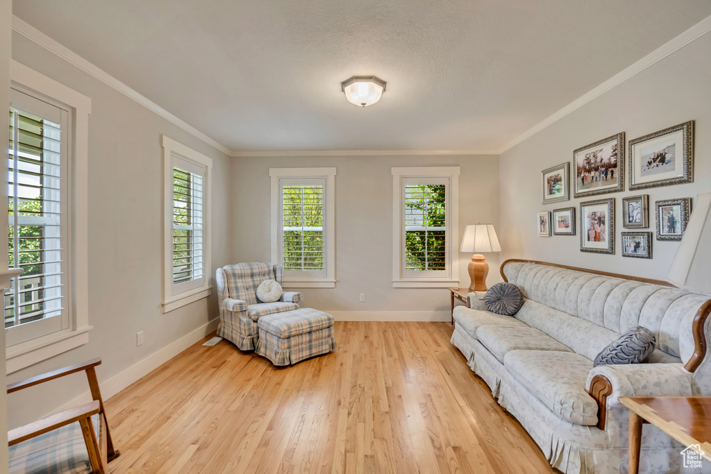 Living area with baseboards, wood finished floors, healthy amount of natural light, and crown molding