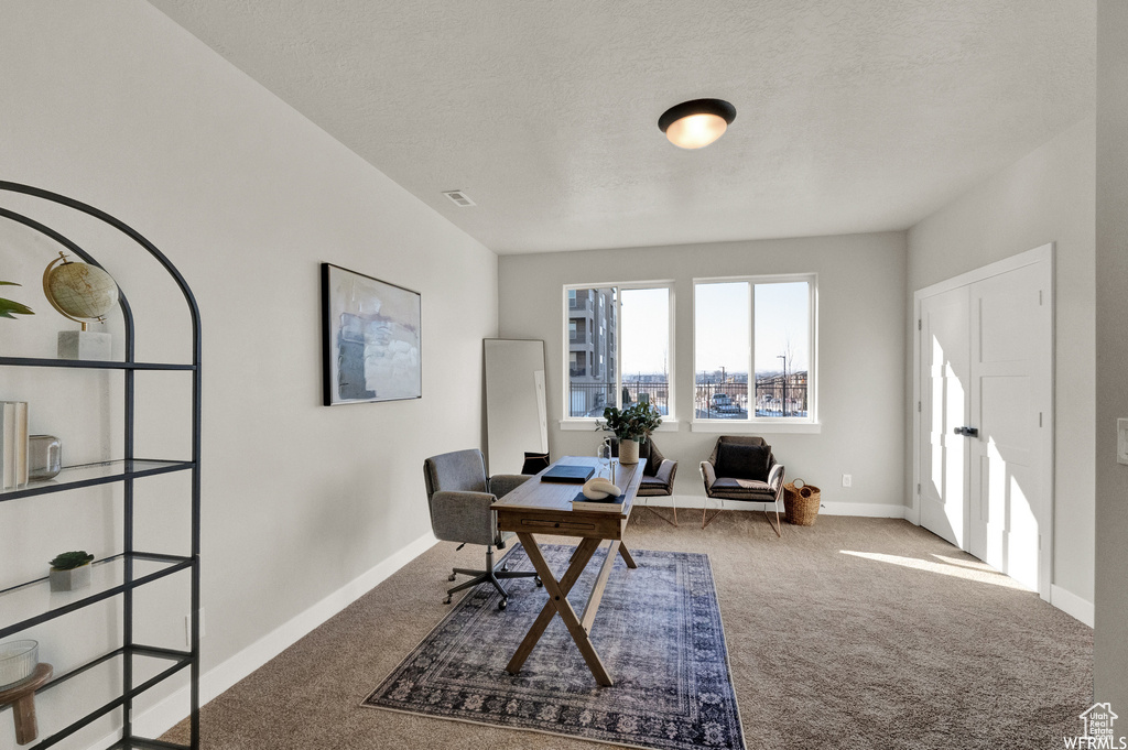 Carpeted office with baseboards and a textured ceiling