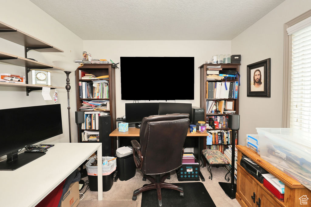 Office with plenty of natural light and light colored carpet