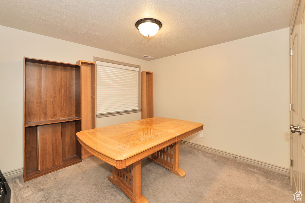 Office space with light carpet, a textured ceiling, and baseboards
