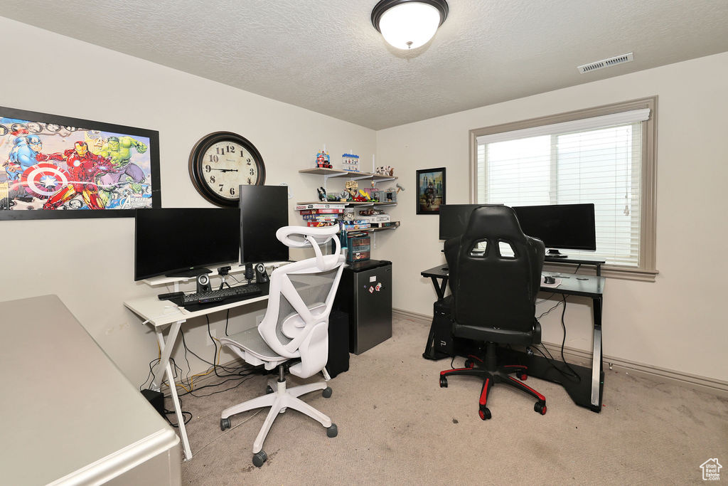 Office area with carpet floors and a textured ceiling