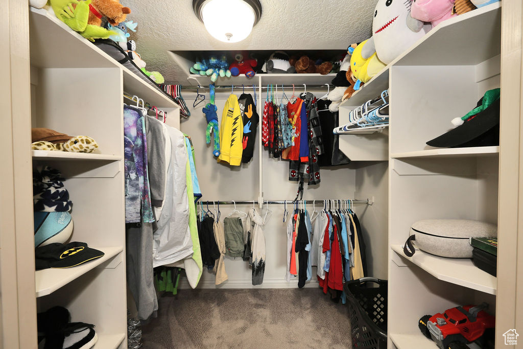 Spacious closet with carpet flooring