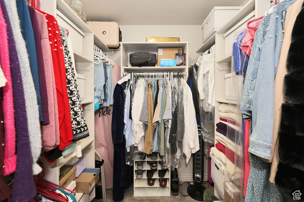 View of walk in closet