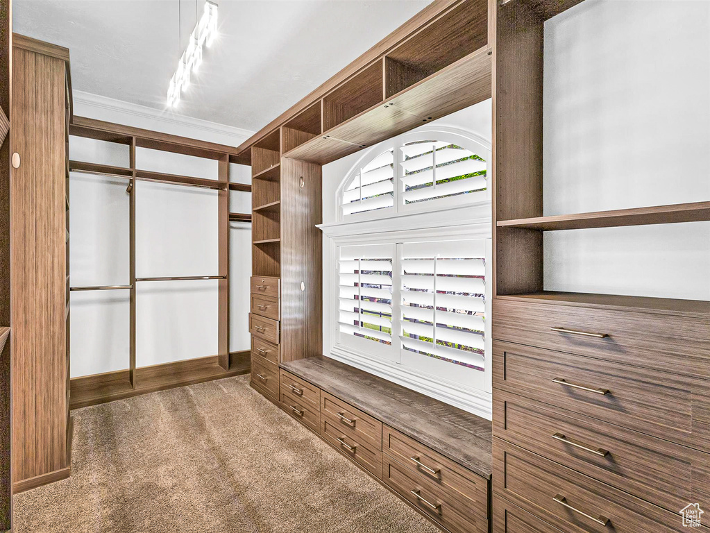 Spacious closet featuring carpet flooring