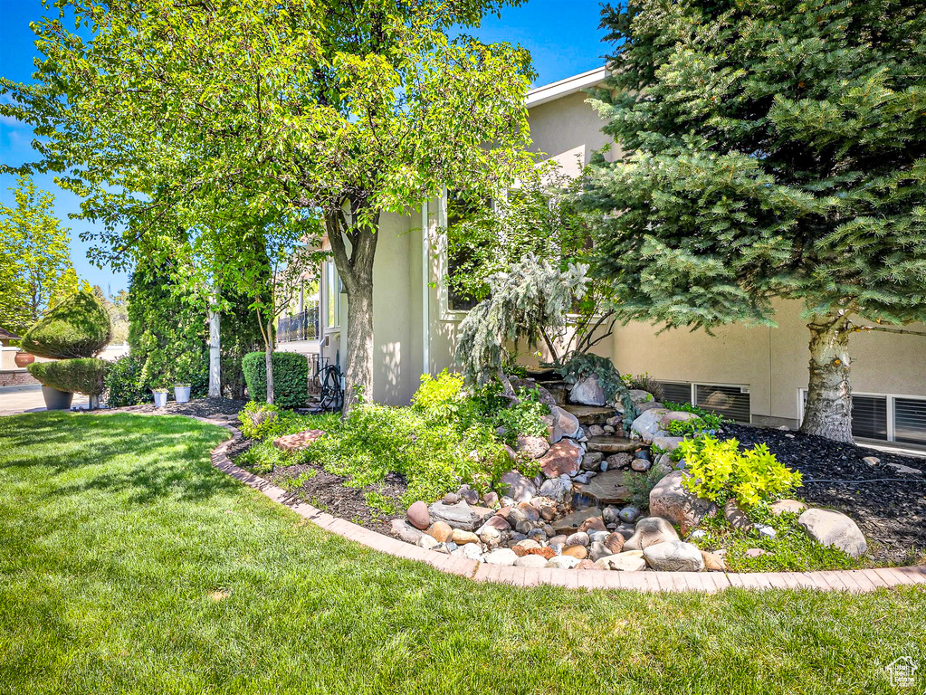 View of grassy yard