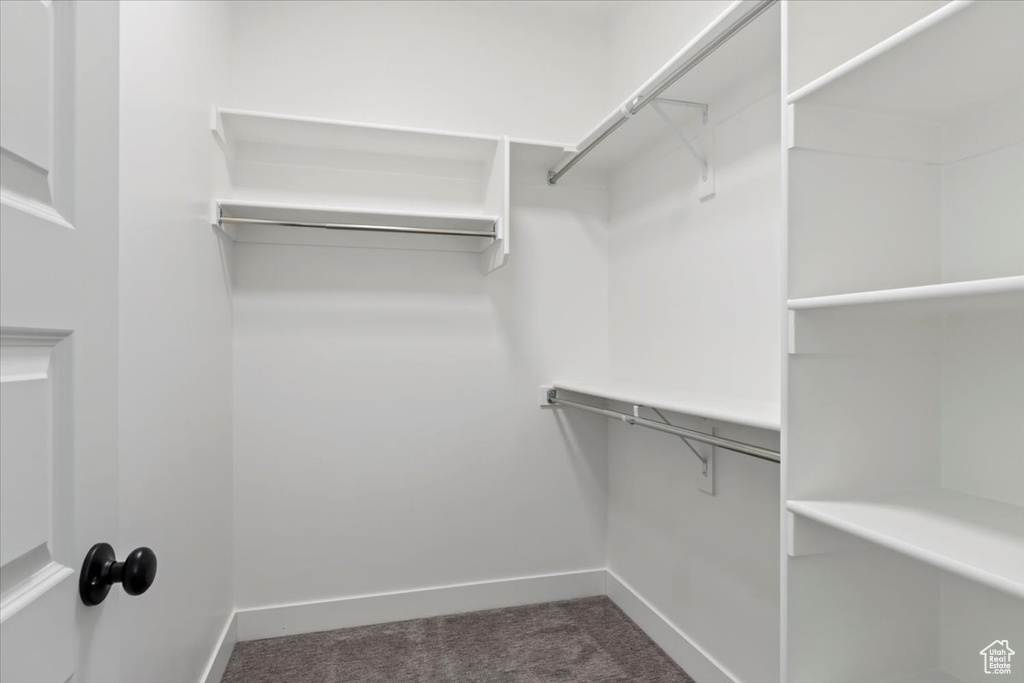 Spacious closet with dark carpet