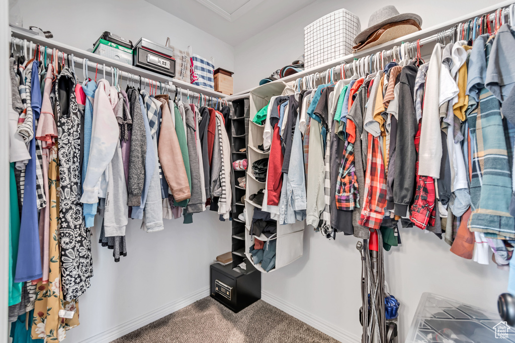 Walk in closet with carpet