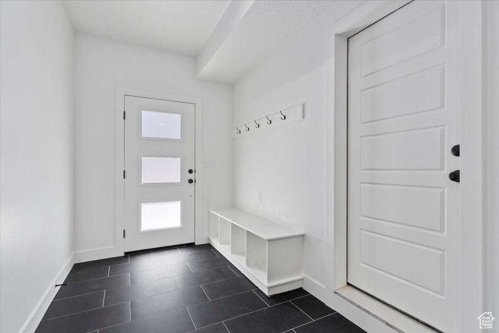 Mudroom with baseboards, healthy amount of natural light, and dark tile patterned flooring