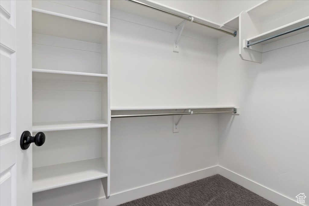 Walk in closet with dark carpet