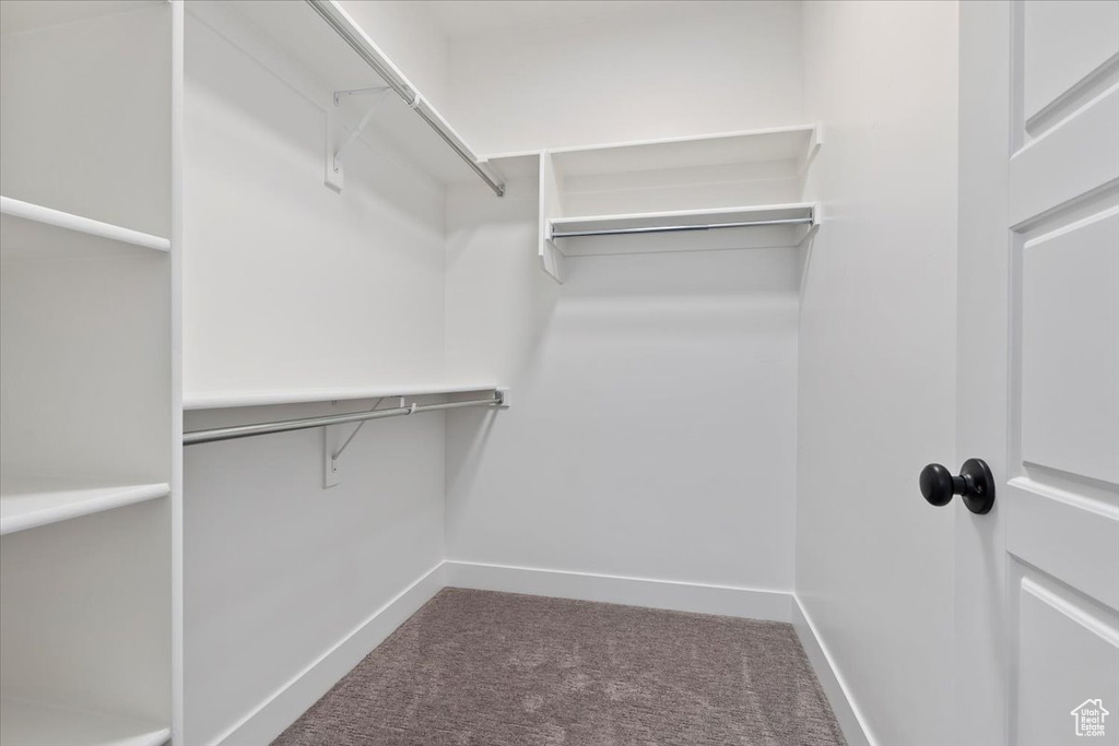 Walk in closet with carpet
