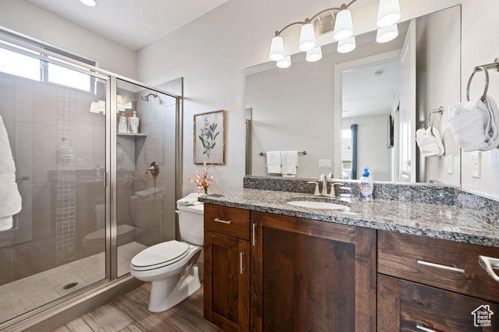 Bathroom with toilet, a shower stall, and vanity