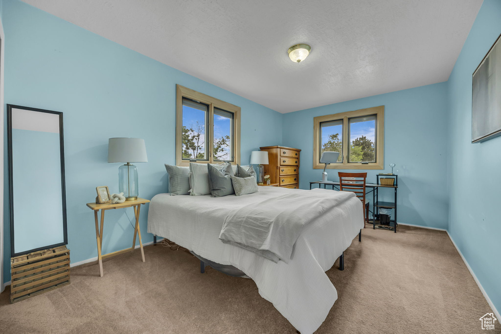 Bedroom featuring carpet, multiple windows, and baseboards