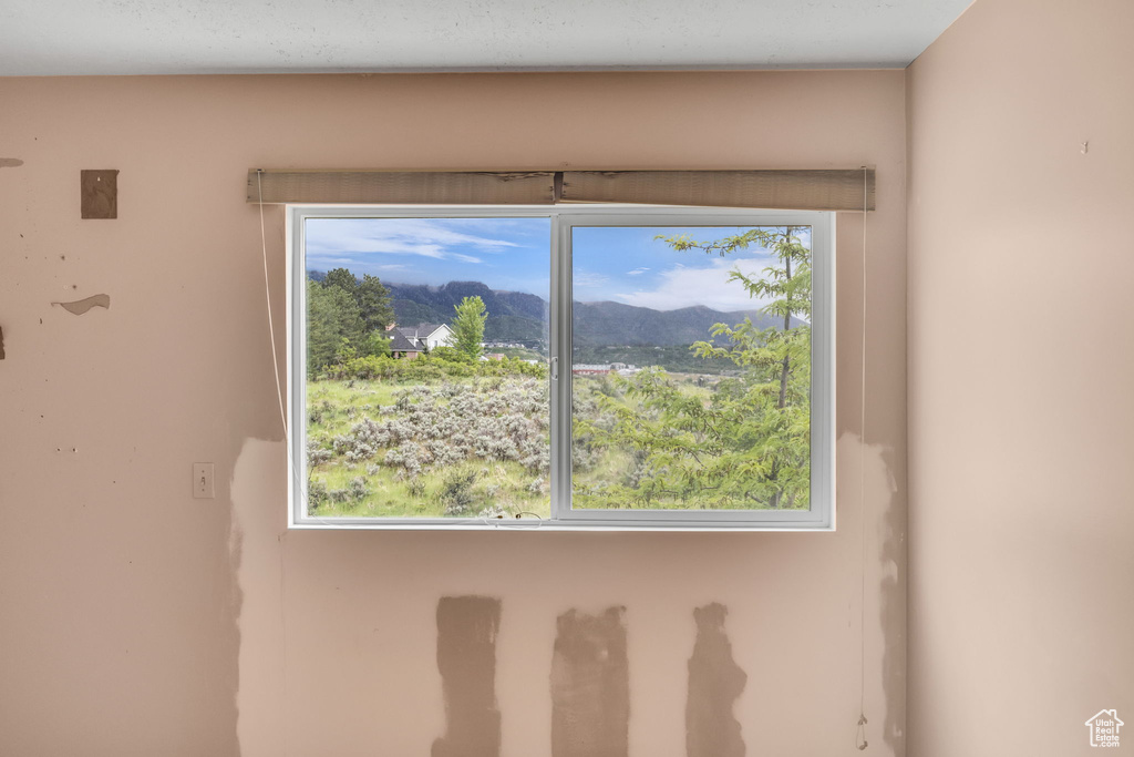 Detailed view of a mountain view
