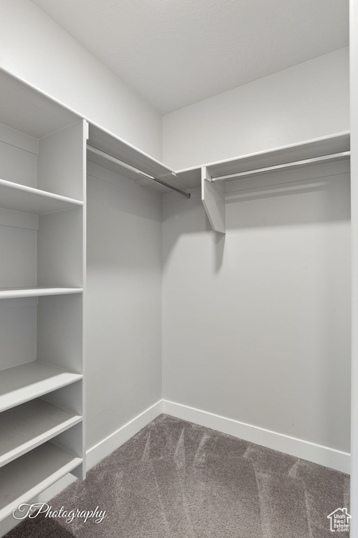 Spacious closet with dark colored carpet