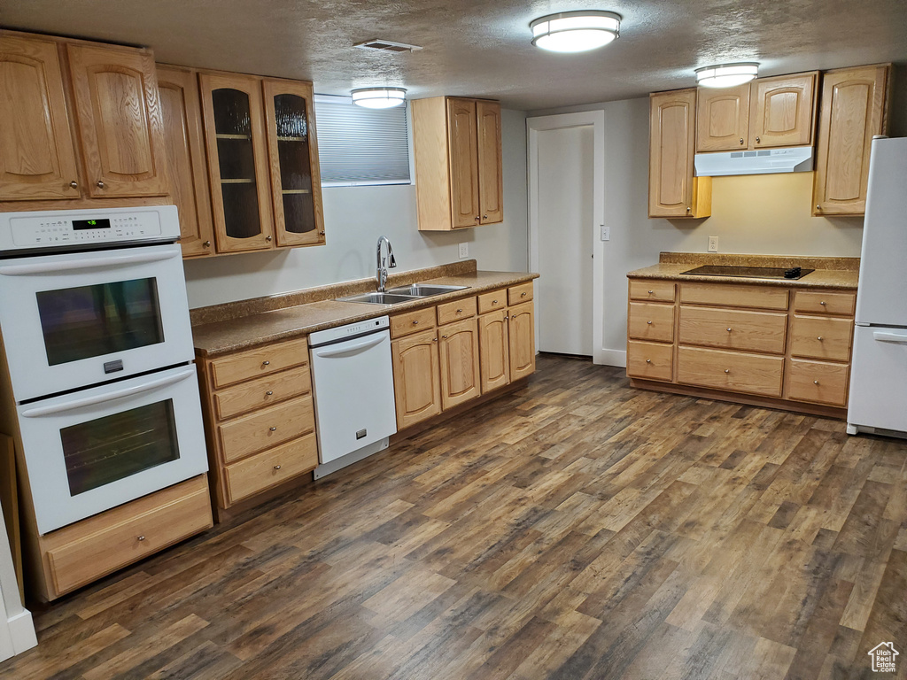 Kitchen with a sink, white appliances, under cabinet range hood, light brown cabinetry, and dark wood-type flooring