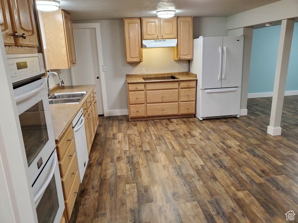 Kitchen with white appliances, a sink, under cabinet range hood, light brown cabinetry, and dark wood-type flooring