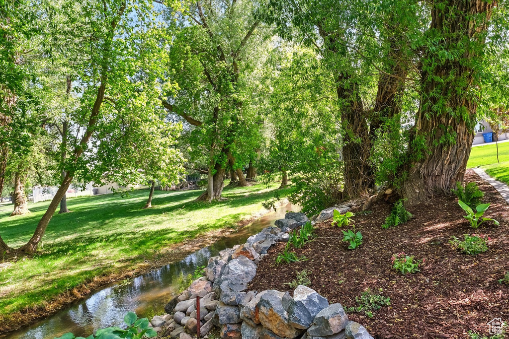 View of green lawn