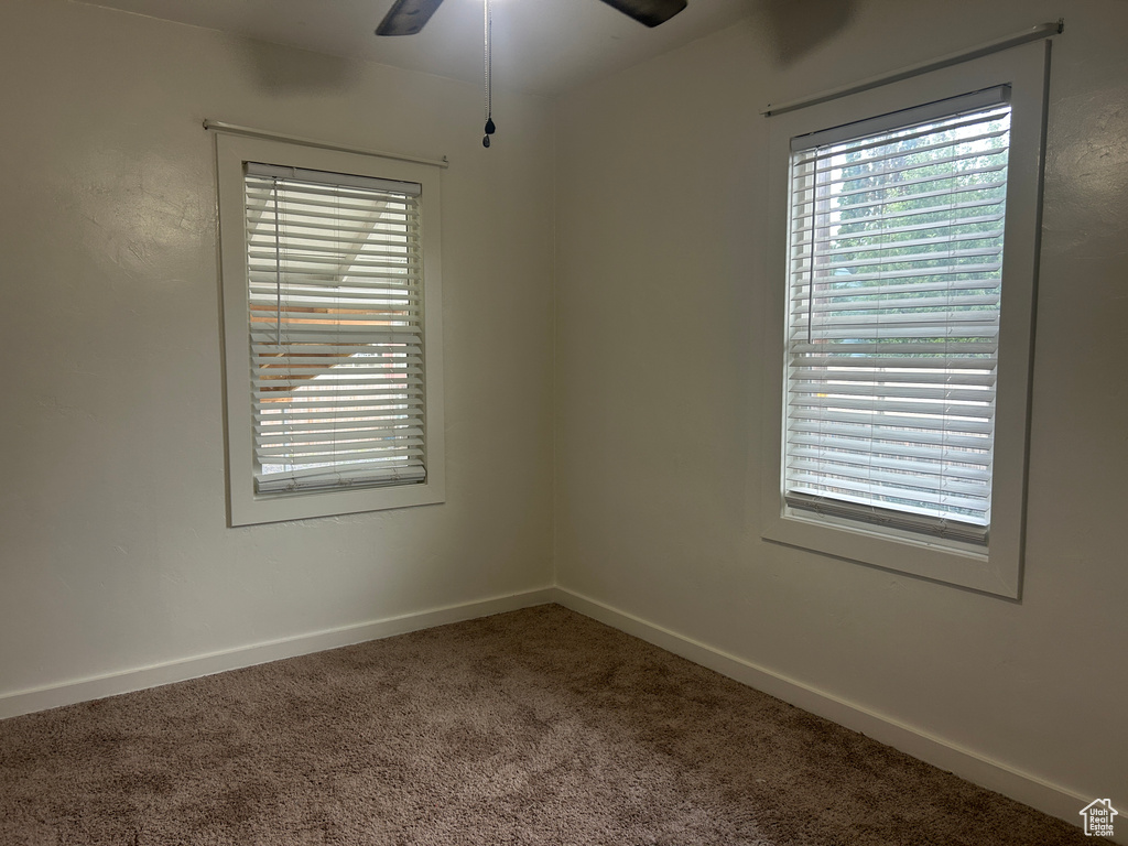 Carpeted spare room with ceiling fan, plenty of natural light, and baseboards