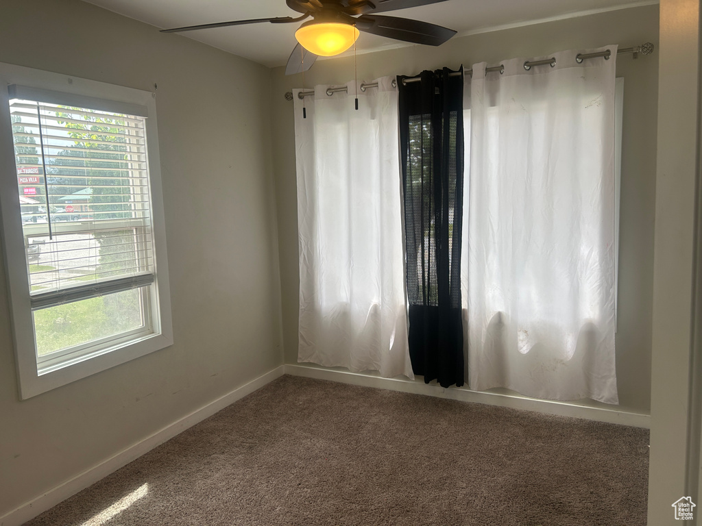 Carpeted spare room with healthy amount of natural light, ceiling fan, and baseboards