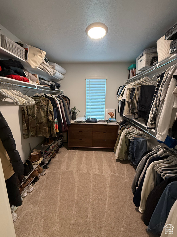 Spacious closet featuring light carpet