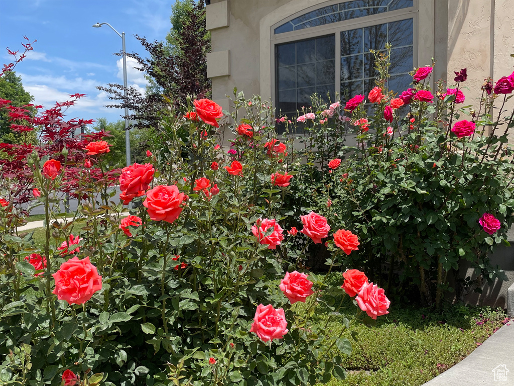 2774 N 370 E Provo, UT 84604