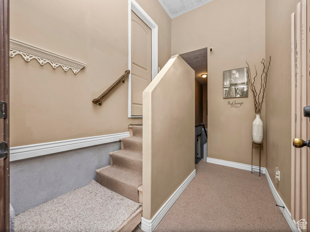 Staircase with carpet and baseboards