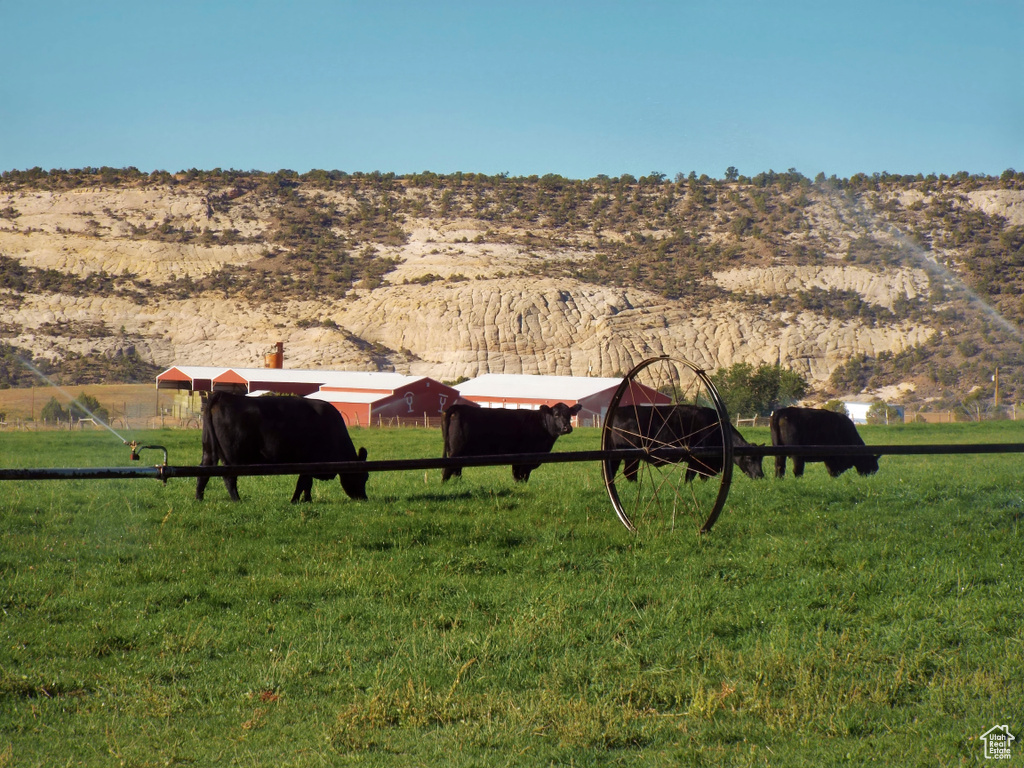 View of yard with a rural view