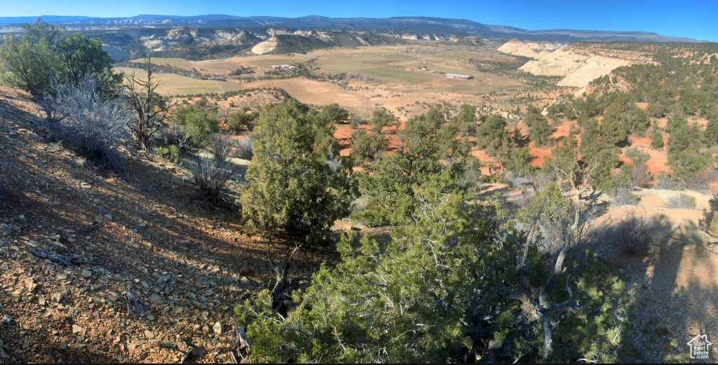 Drone / aerial view featuring a mountain view