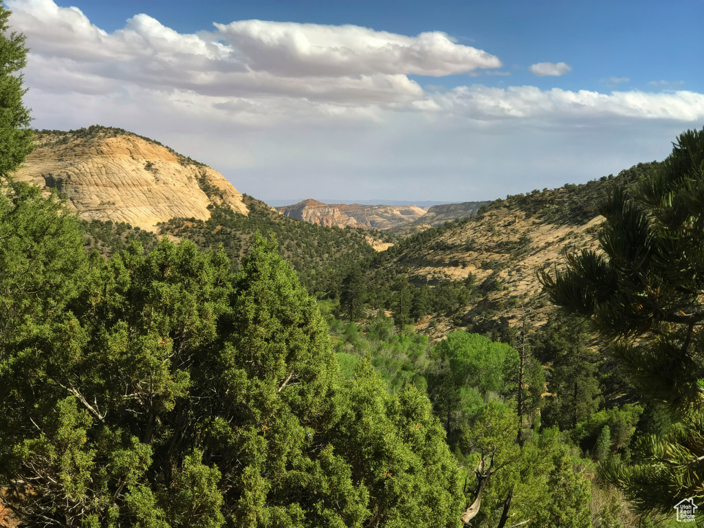 Mountain view with a wooded view