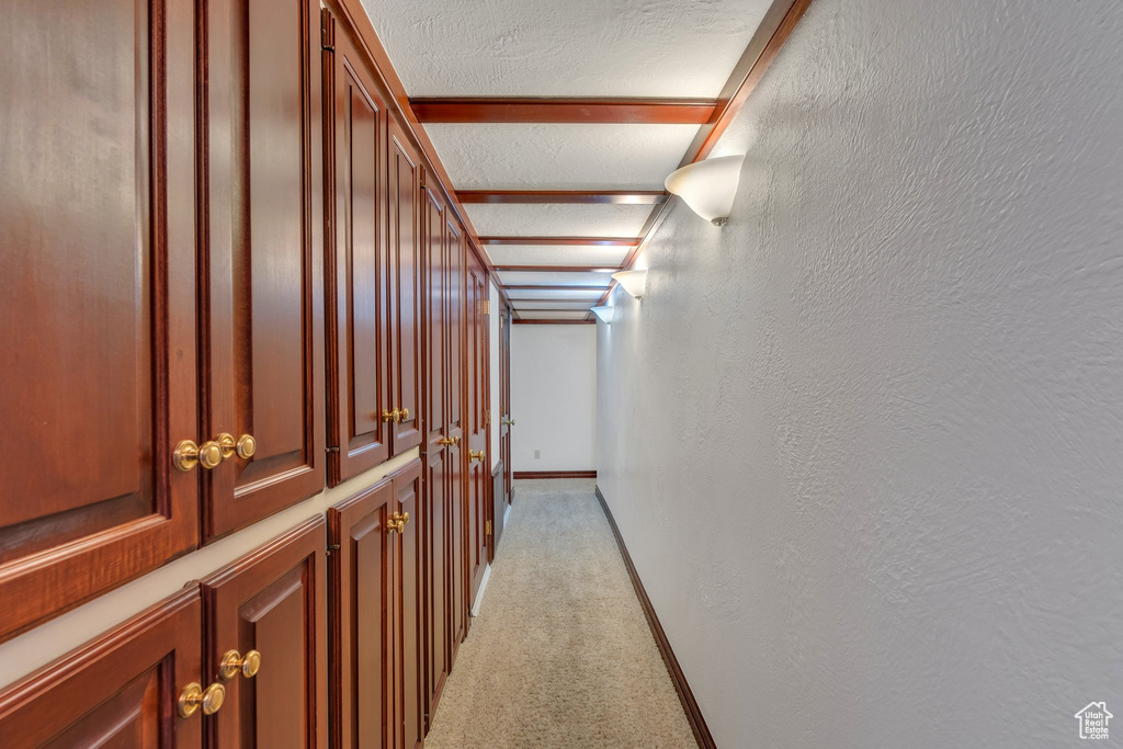 Corridor with light colored carpet and baseboards