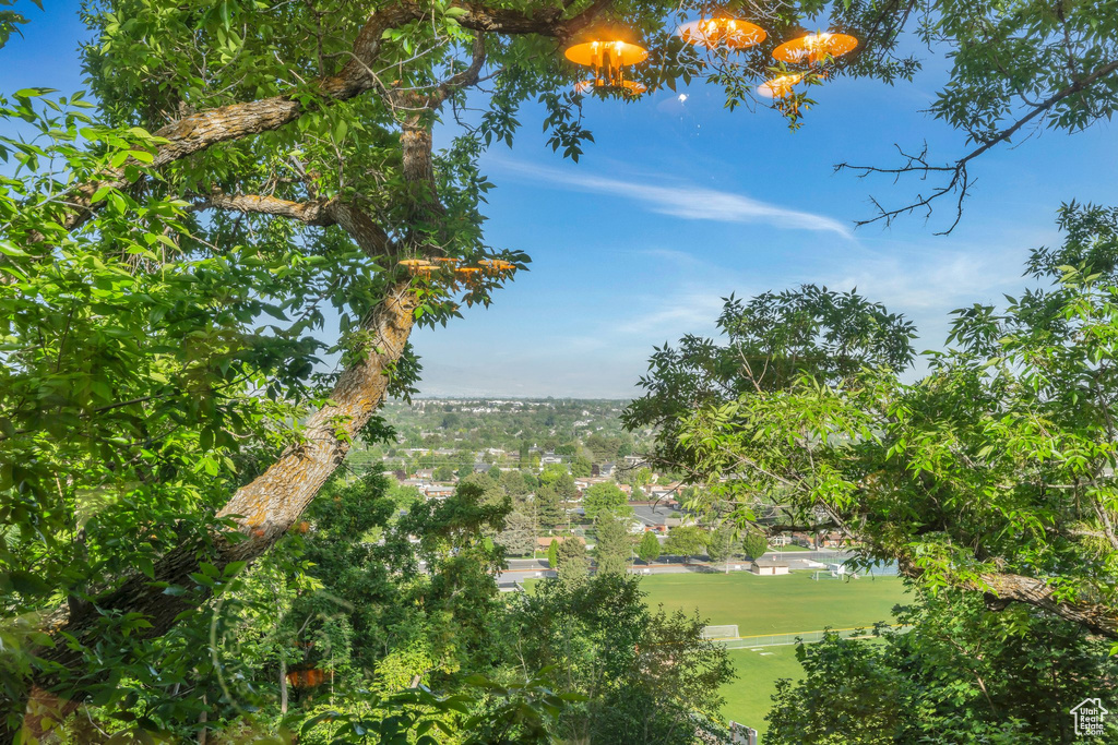 View of community