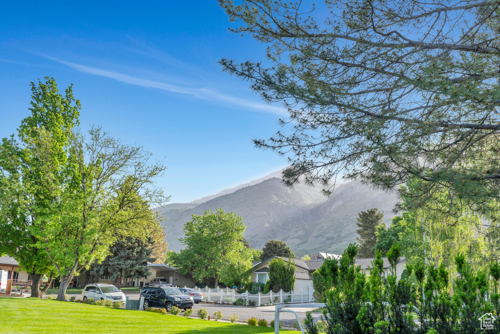 Mountain view