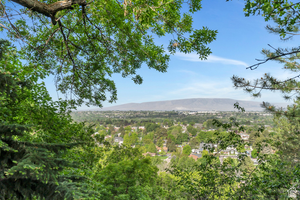 Mountain view