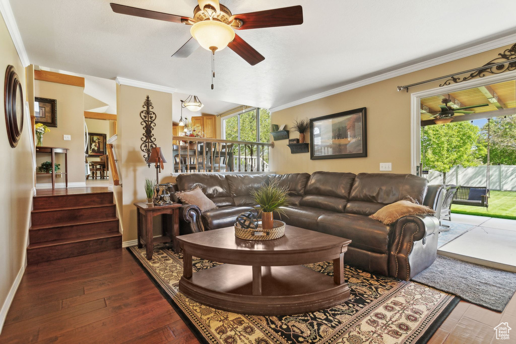 Living room with healthy amount of natural light, a ceiling fan, hardwood / wood-style floors, ornamental molding, and stairway