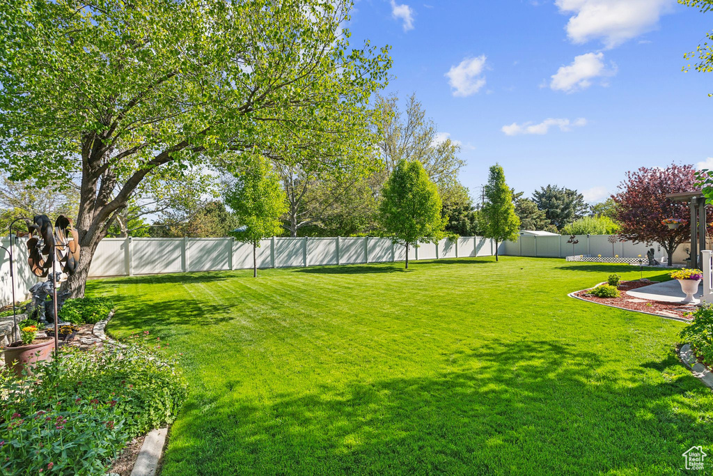 View of yard