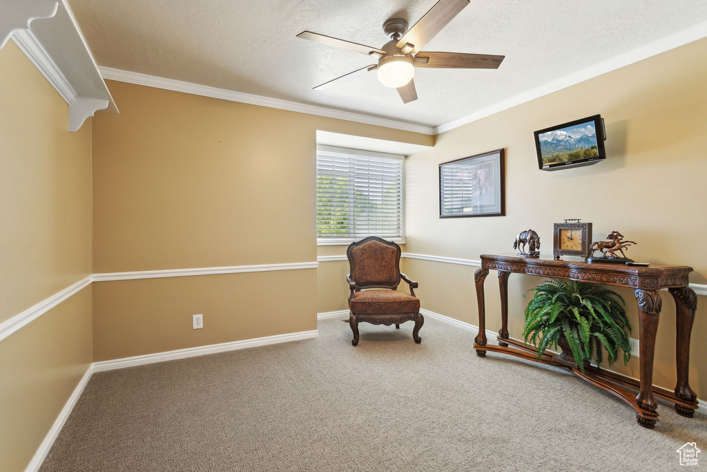 Living area featuring a ceiling fan, crown molding, carpet, and baseboards
