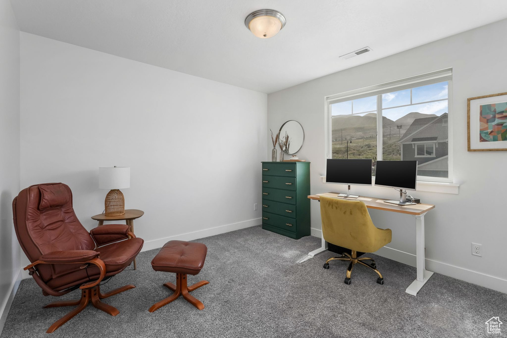 Office with carpet floors and baseboards