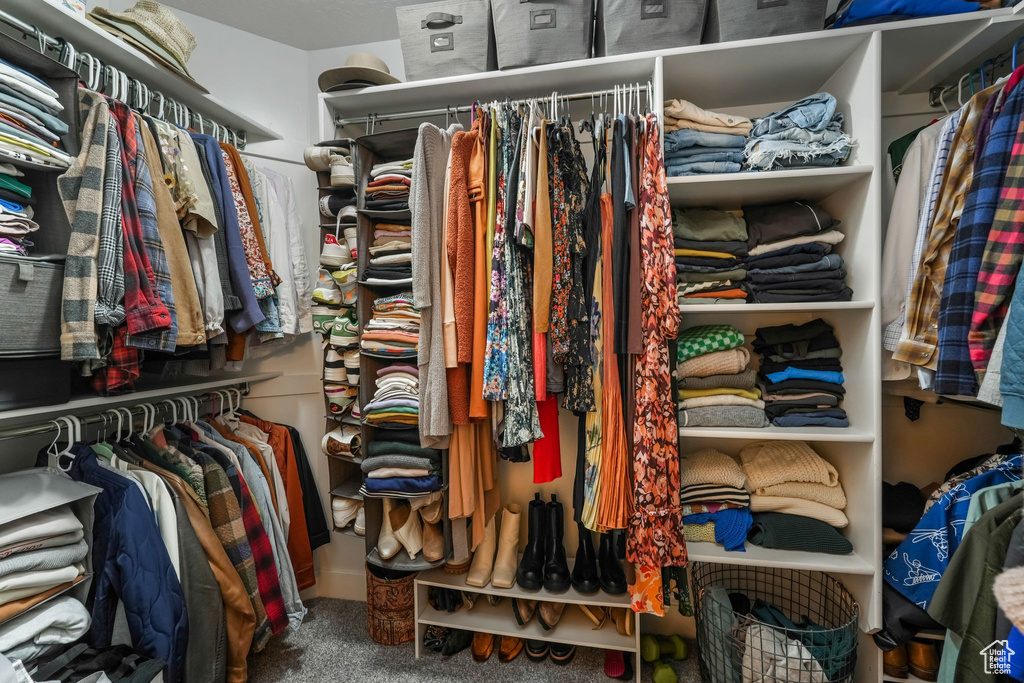 Walk in closet with carpet floors