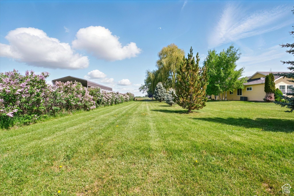 View of green lawn