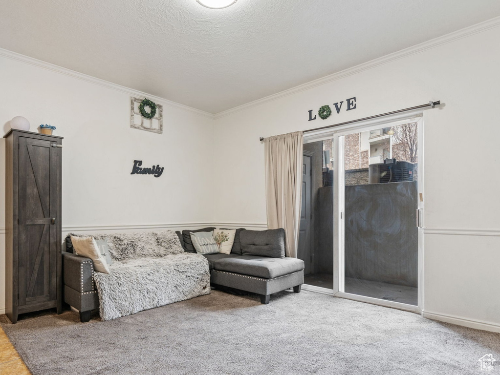 Tiled living area with crown molding, carpet flooring, and baseboards