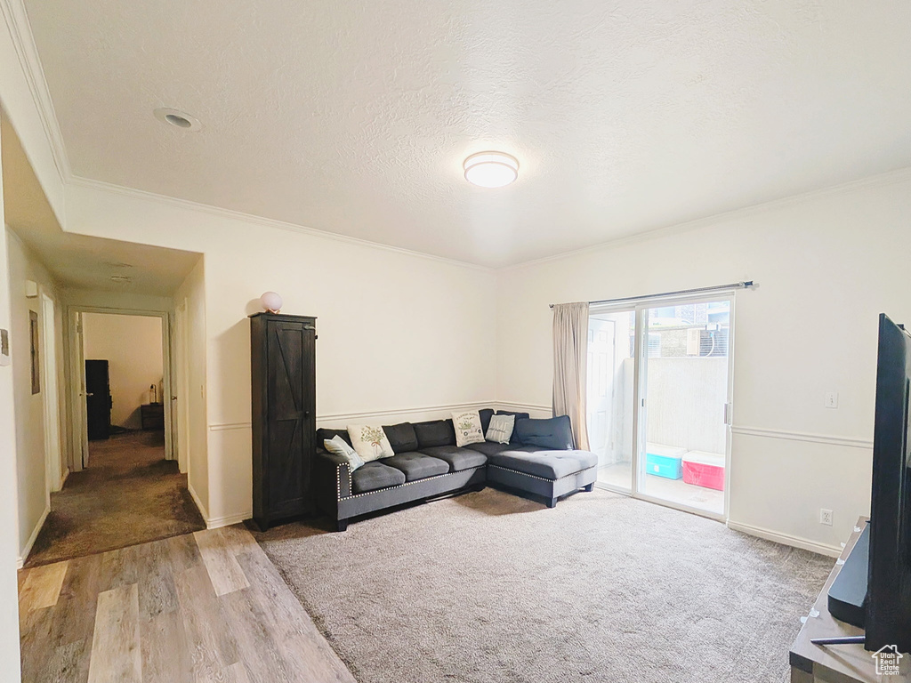 Living room featuring light wood-style flooring, ornamental molding, and baseboards