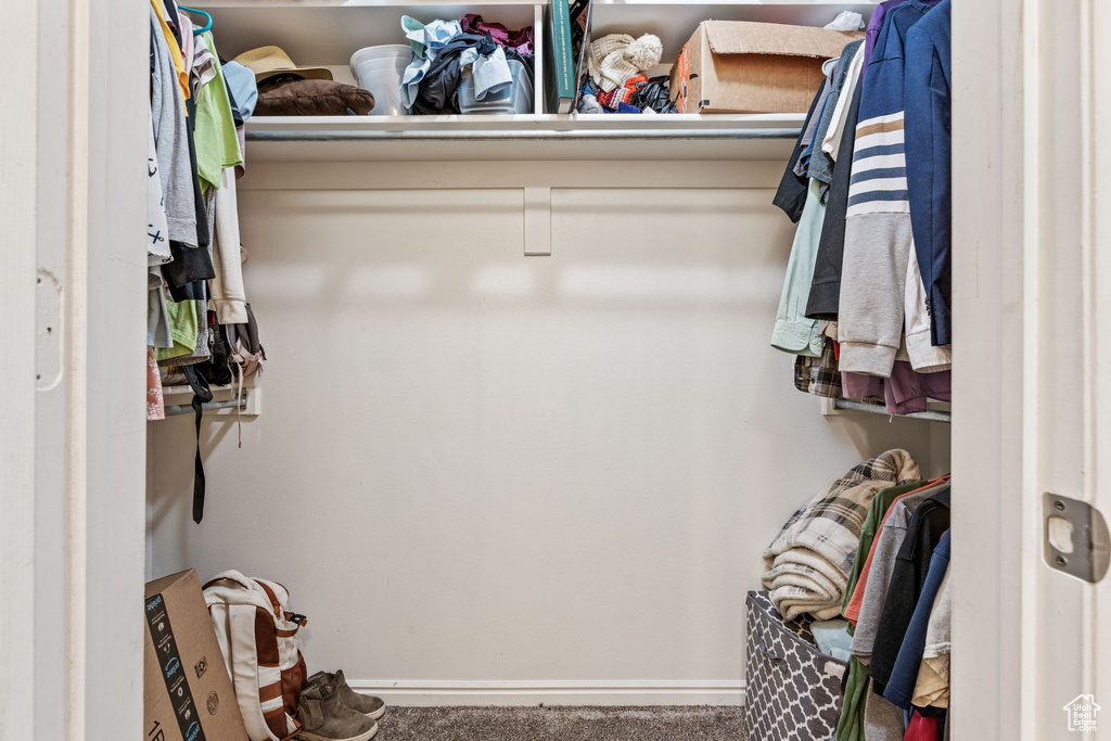 Walk in closet featuring carpet flooring