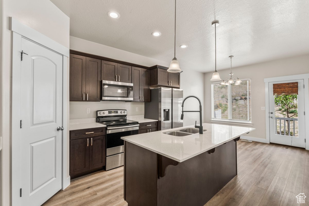Kitchen with stainless steel appliances, a sink, dark brown cabinetry, light wood-style floors, and recessed lighting