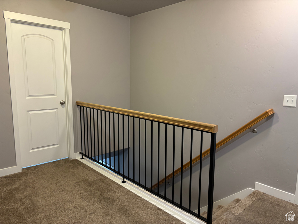 Stairway featuring carpet flooring and baseboards