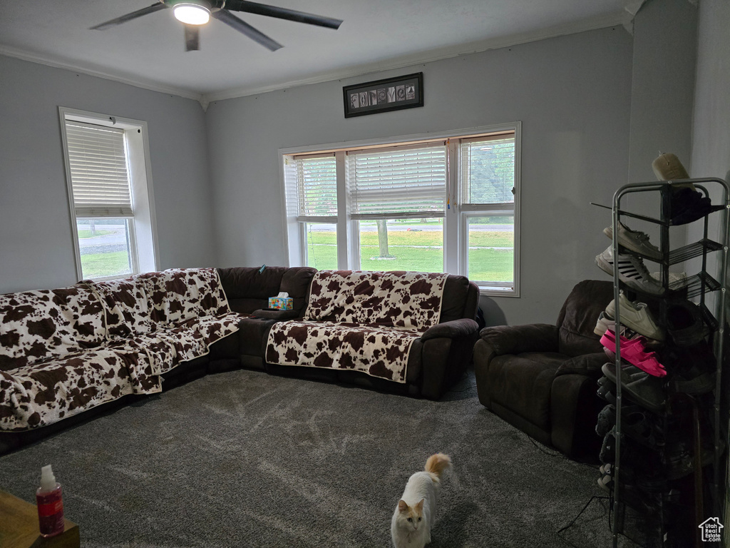 Living area featuring carpet flooring, ceiling fan, plenty of natural light, and crown molding