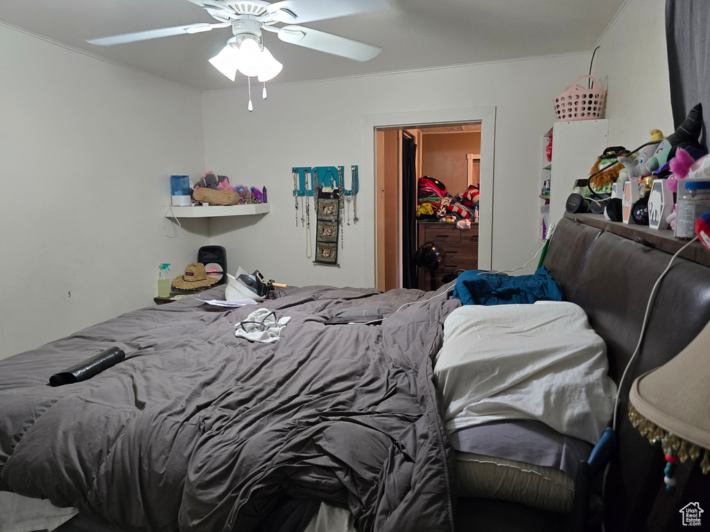 Bedroom with ceiling fan
