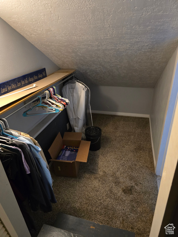 Walk in closet featuring carpet flooring