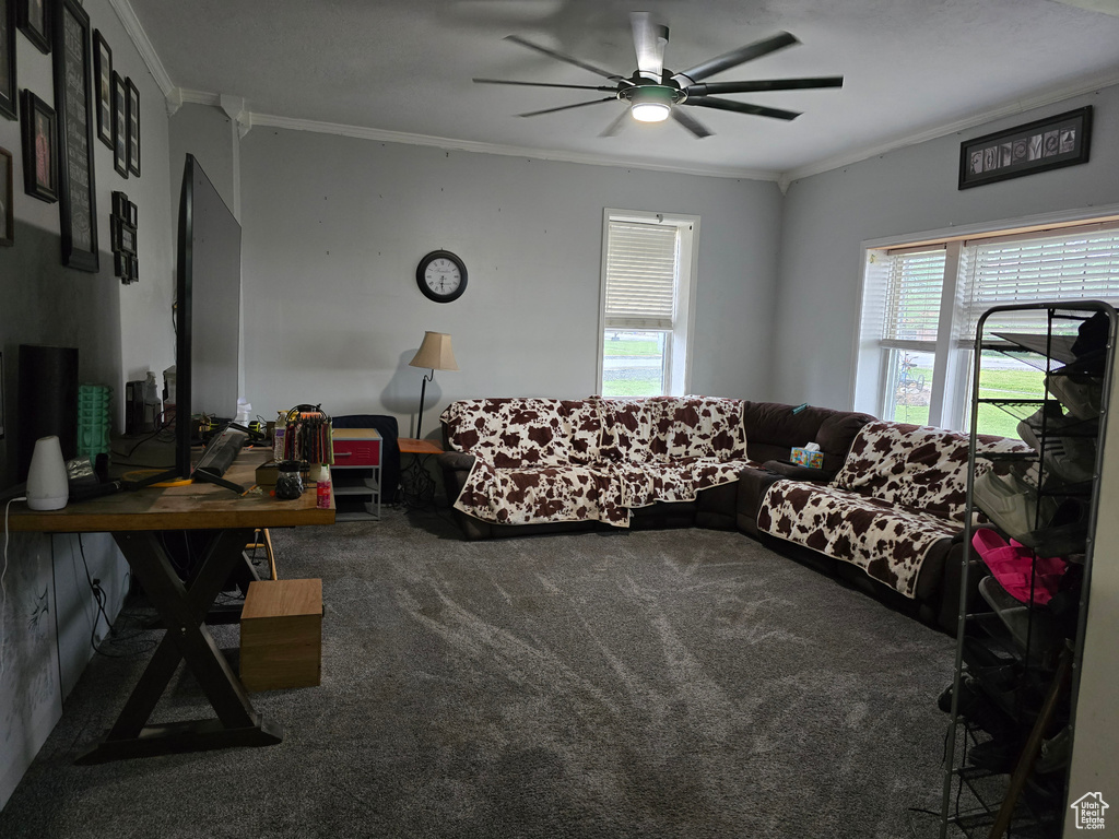 Living room featuring crown molding, carpet flooring, plenty of natural light, and a ceiling fan