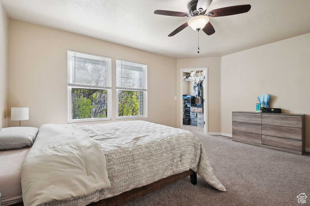 Carpeted bedroom featuring a walk in closet, ceiling fan, baseboards, and a closet