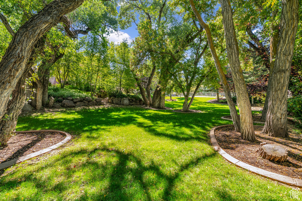 View of green lawn